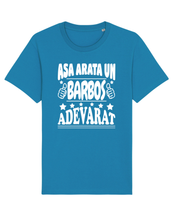 Asa arata un barbos adevarat Azur