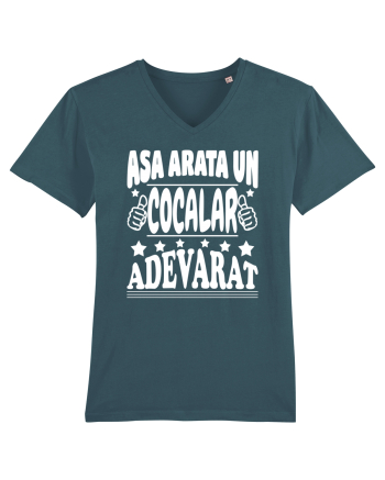 Asa arata un cocalar adevarat Stargazer