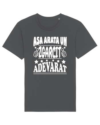 Asa arata un zgarcit adevarat Anthracite
