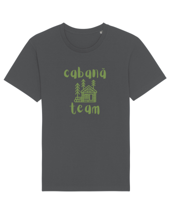 Cabană Team (verde)  Anthracite