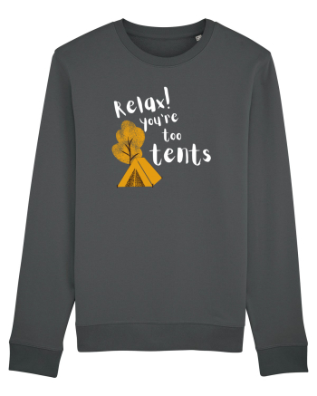 Relax! You're too tents (alb)  Anthracite