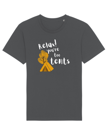 Relax! You're too tents (alb)  Anthracite
