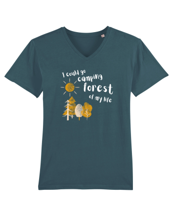 I could go camping forest of my life (alb)  Stargazer