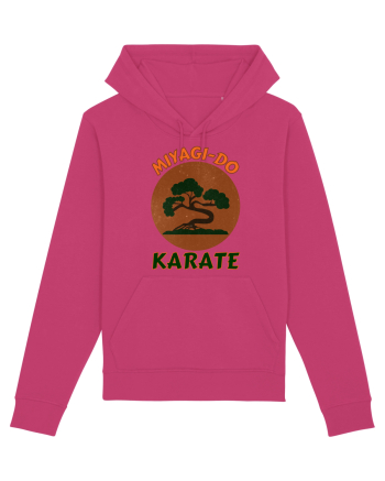 Miyagi-Do Karate Raspberry