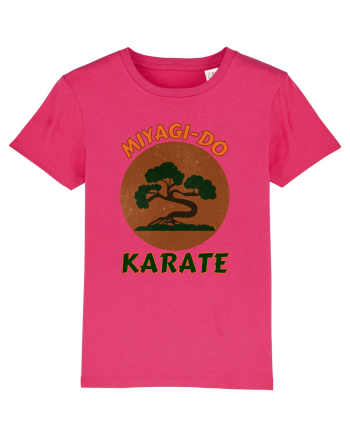 Miyagi-Do Karate Raspberry