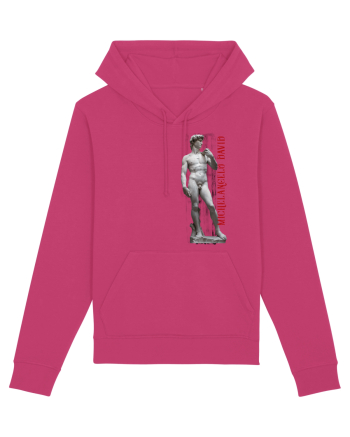 Michelangelo David Raspberry
