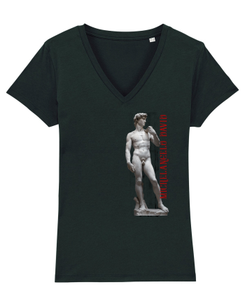 Michelangelo David Black