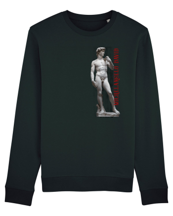 Michelangelo David Black