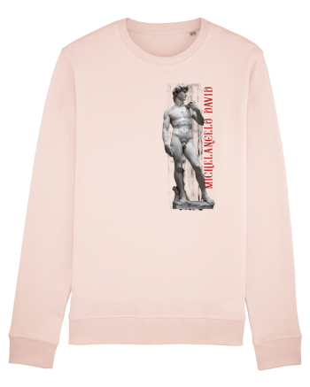Michelangelo David Candy Pink