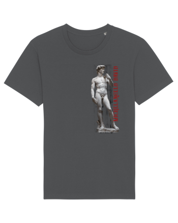 Michelangelo David Anthracite