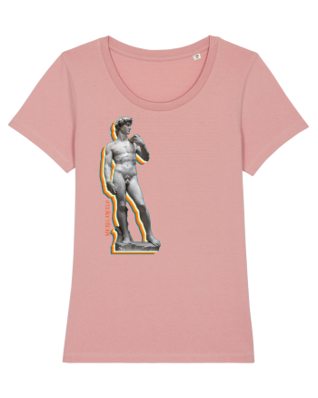  Michelangelo - David Canyon Pink