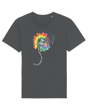 Be Kind Anthracite