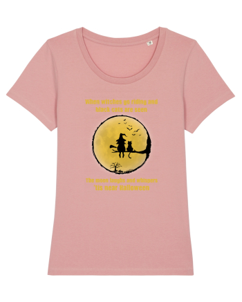 Witches and Black Cats Canyon Pink