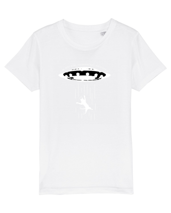 Cat abduction White