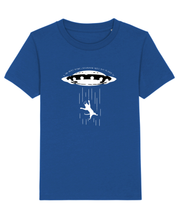 Cat abduction Majorelle Blue