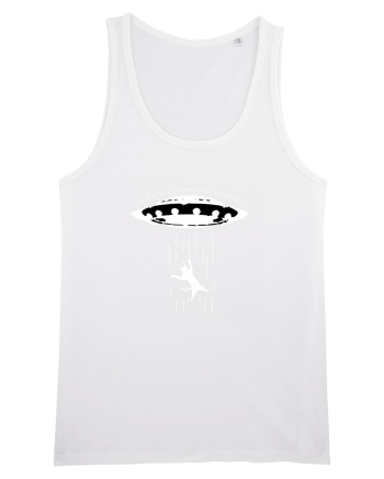 Cat abduction White