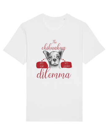 chihuahua dilemma White