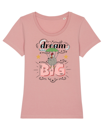 dreamer Canyon Pink