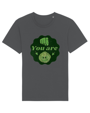 You are Varza(esti varza) Anthracite