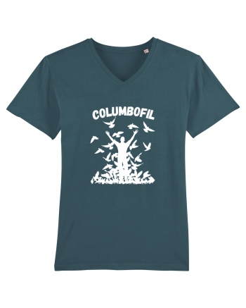 Columbofil , iubitor de porumbei Stargazer