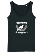 Columbofil  Un Mod de Viata  O Pasiune Maiou Damă Dreamer