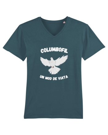 Columbofil,Un Mod De Viata  O Pasiune Stargazer