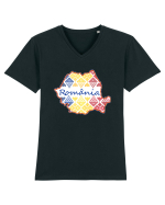 Romania Tricolor Motive Nationale Tricou mânecă scurtă guler V Bărbat Presenter
