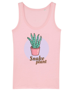 Snake plant Maiou Damă Dreamer