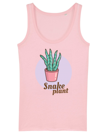 Snake plant Cotton Pink