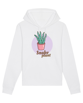 Snake plant White