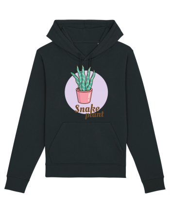 Snake plant Black
