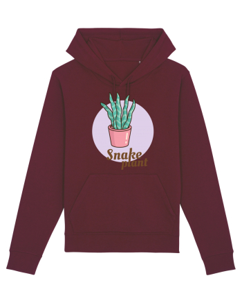 Snake plant Burgundy