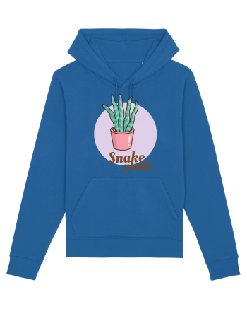 Snake plant Royal Blue