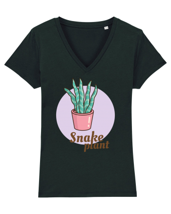 Snake plant Black