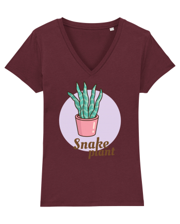 Snake plant Burgundy