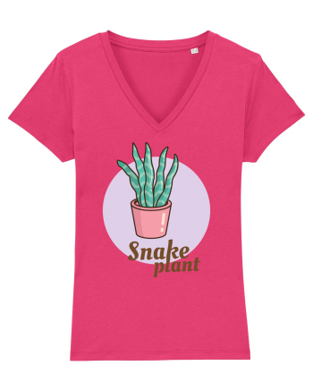 Snake plant Raspberry