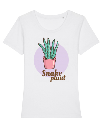 Snake plant White