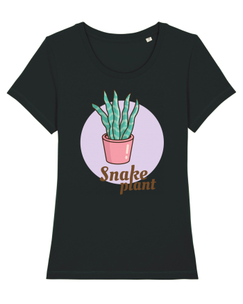 Snake plant Black