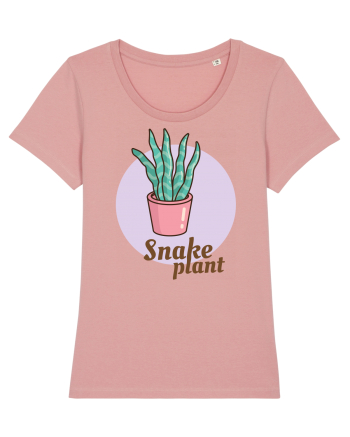 Snake plant Canyon Pink