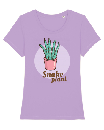Snake plant Lavender Dawn