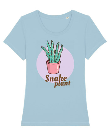 Snake plant Sky Blue