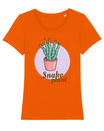 Snake plant Bright Orange