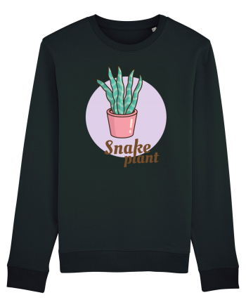 Snake plant Black