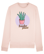 Snake plant Bluză mânecă lungă Unisex Rise