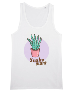 Snake plant Maiou Bărbat Runs