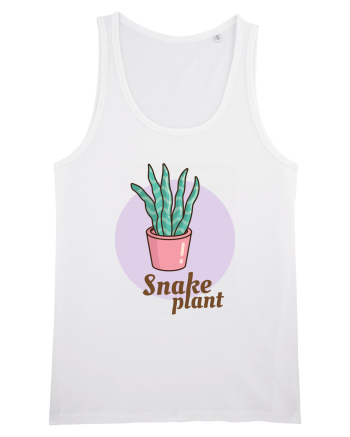 Snake plant White