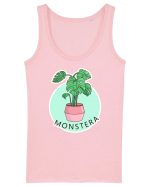 Planta Monstera Maiou Damă Dreamer
