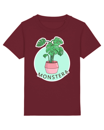 Planta Monstera Burgundy