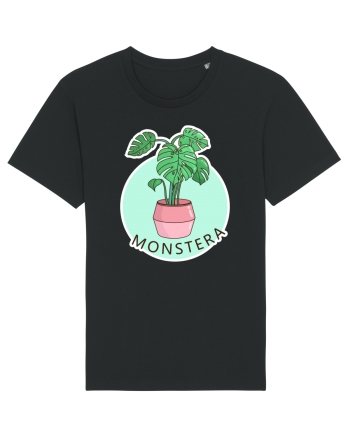 Planta Monstera Black