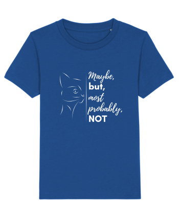 Like a no Majorelle Blue